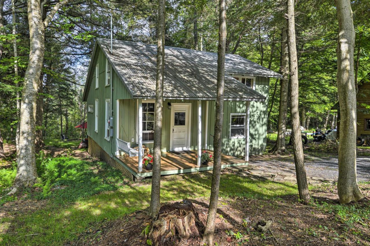 Adirondacks Cabin With Fire Pit On Otter Lake! Forestport Dış mekan fotoğraf